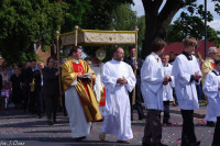  IMGP4714.jpg 