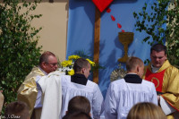  IMGP4722.jpg 
