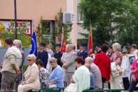  IMGP4743.jpg 