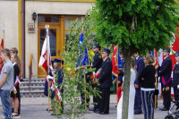  IMGP4769.jpg 