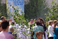  IMGP4782.jpg 