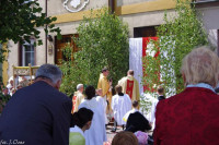 IMGP4797.jpg 