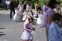  IMGP4812.jpg 