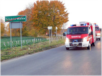 sokolniki_2021061.jpg