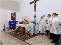 sokolniki_2021462.jpg