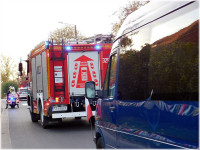 sokolniki_2021532.jpg