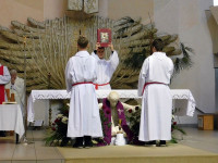 DSCN7169.JPG