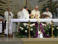 DSCN7475.JPG