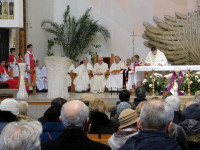 DSCN7559.JPG