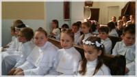 rokitno_01.jpg