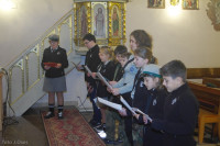 IMGP0914.jpg