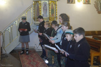 IMGP0913.jpg