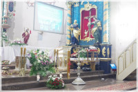  IMGP6693.jpg 