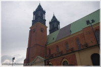 IMGP5169.jpg