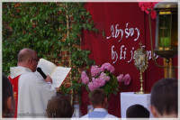 IMGP6014.jpg