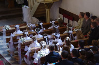 IMGP4256.jpg