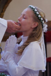 IMGP4317.jpg