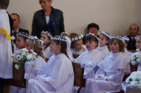IMGP4348.jpg