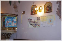 IMGP3541.jpg