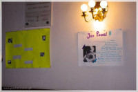 IMGP3549.jpg
