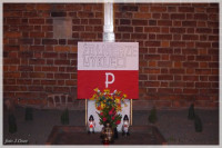 IMGP2955.jpg