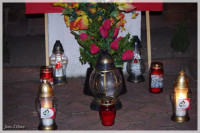 IMGP3019.jpg