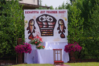  IMGP6855.JPG 