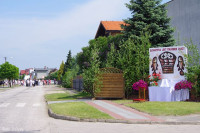  IMGP6861.JPG 