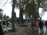  DSCF9152.JPG 
