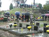  DSCF9150.JPG 