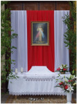 IMGP1200.jpg