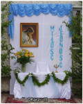 IMGP1204.jpg
