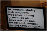 IMGP1369.jpg