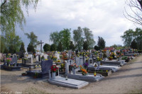 IMGP3325.jpg