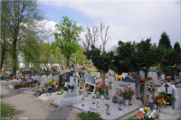 IMGP3326.jpg