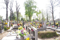 IMGP3334.jpg