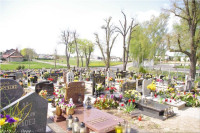 IMGP3336.jpg