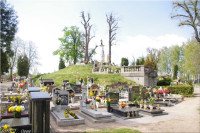 IMGP3343.jpg