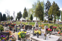 IMGP3349.jpg