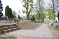 IMGP3355.jpg