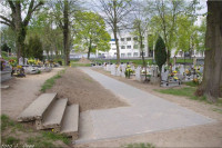 IMGP3354.jpg