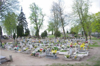 IMGP3356.jpg