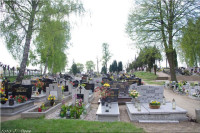 IMGP3358.jpg