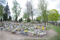 IMGP3361.jpg