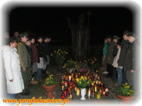 DSCF4597.JPG