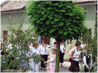 foto%20033.jpg
